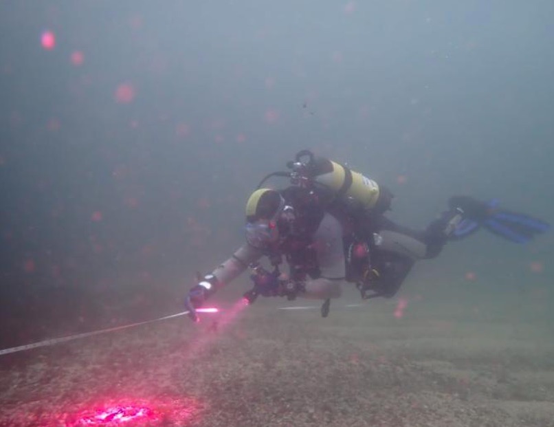UNDER THE SURFACE – THE BEAUTIFUL UNDERWATER WORLD REVEALED BY DIVE SURVEYS IN ST.IVES BAY